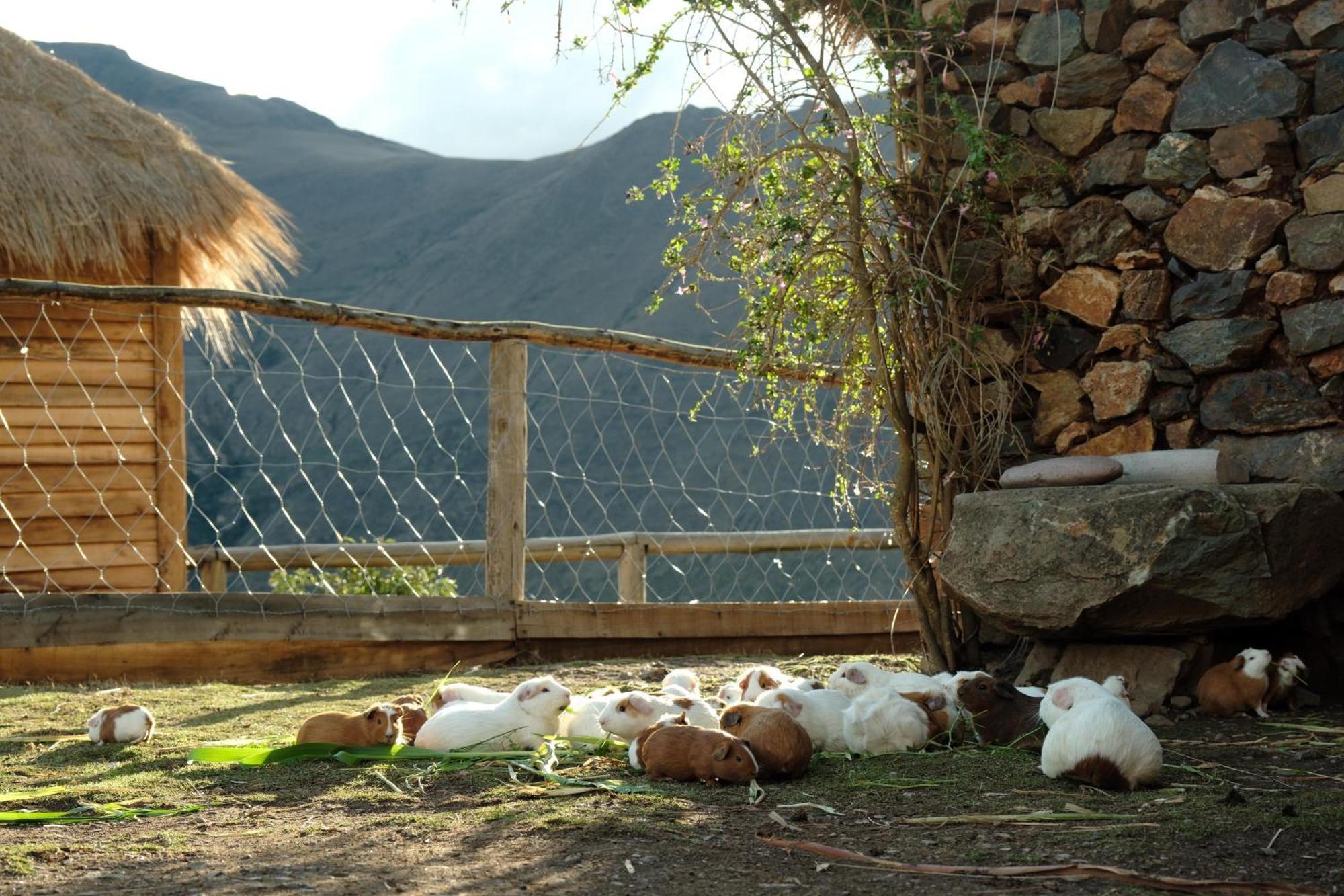 Hotel Stardome Spiritual Experience Ollantaytambo Zewnętrze zdjęcie
